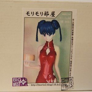 RARE! RARE! - Lynn Minmay  Holding a Cake Big West Model Kit